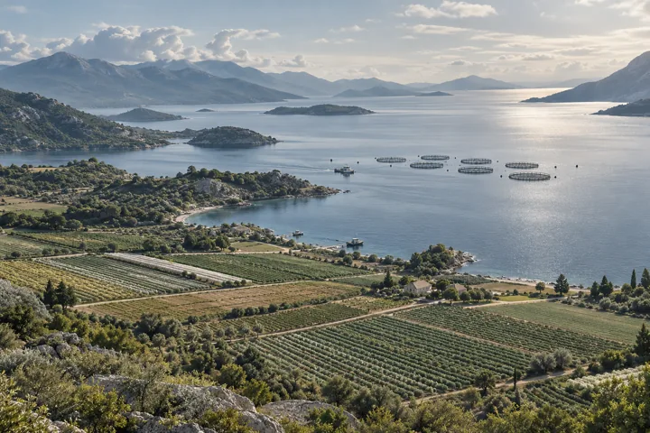Render de agricultura y acuicultura